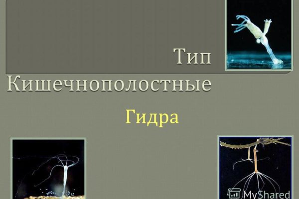 Kraken официальный сайт ссылка krk store com